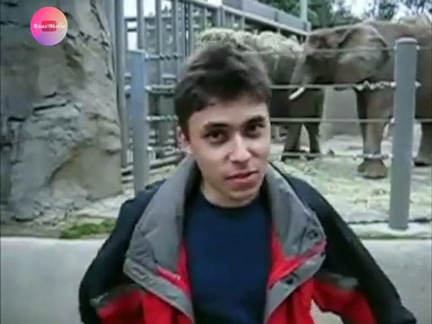 20 godina YouTubea – od jednog videa do tehnološkog giganta