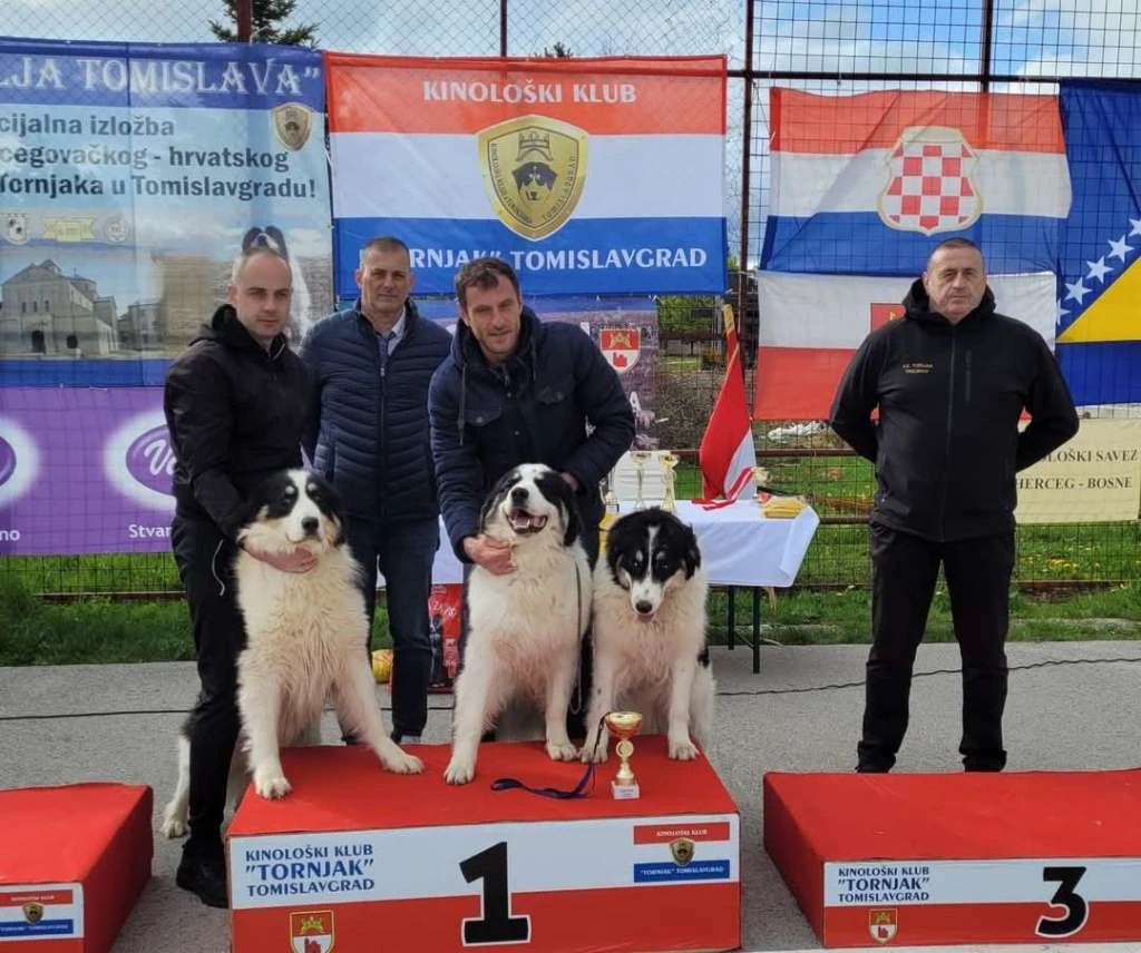 Tornjak Arambaša-Brumbi iz Šujice proglašen najljepšim psom