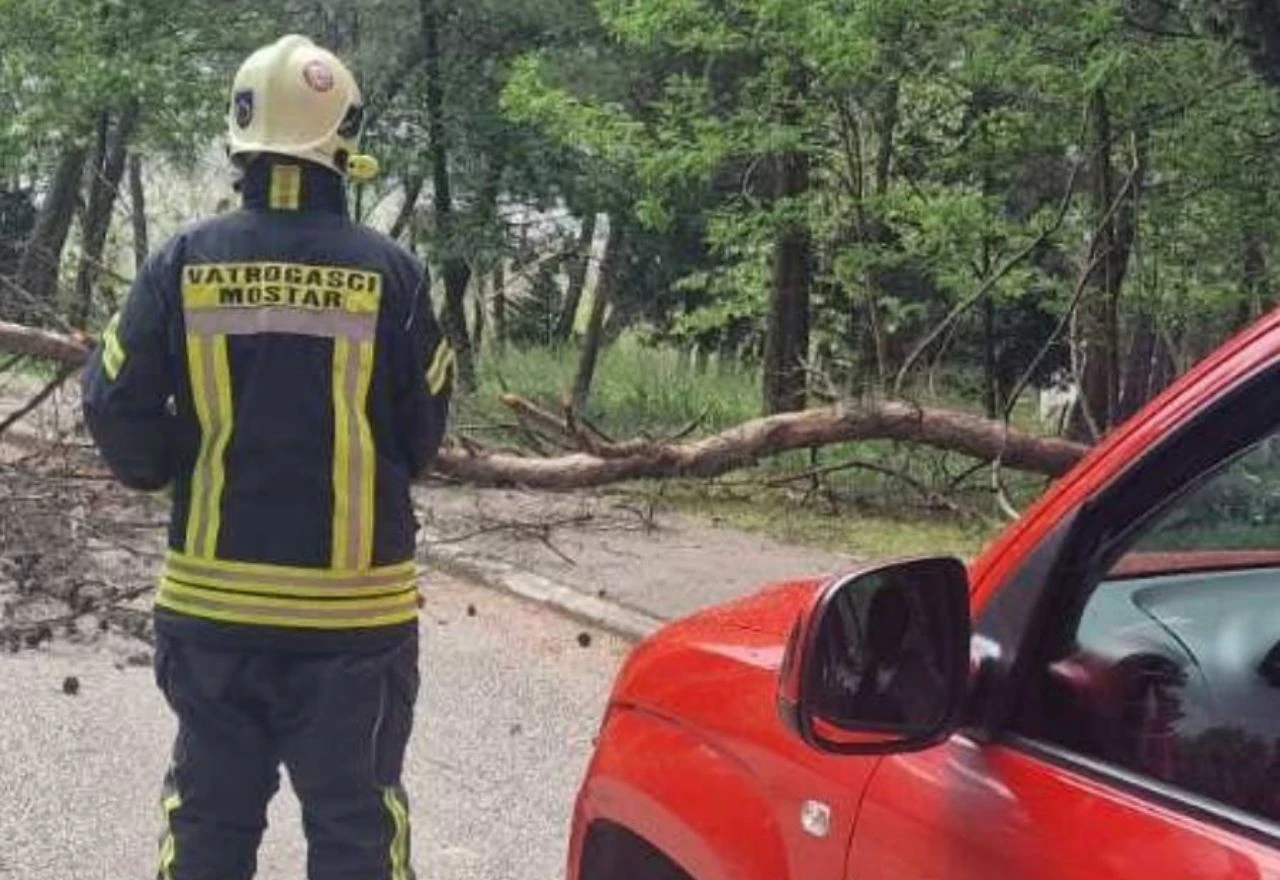 Bijeli Brijeg: Stablo palo na cestu