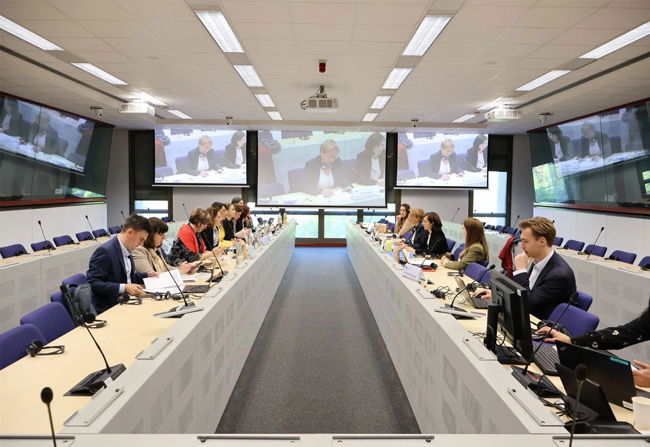 Održan osmi sastanak Pododbora za trgovinu između EU i BiH