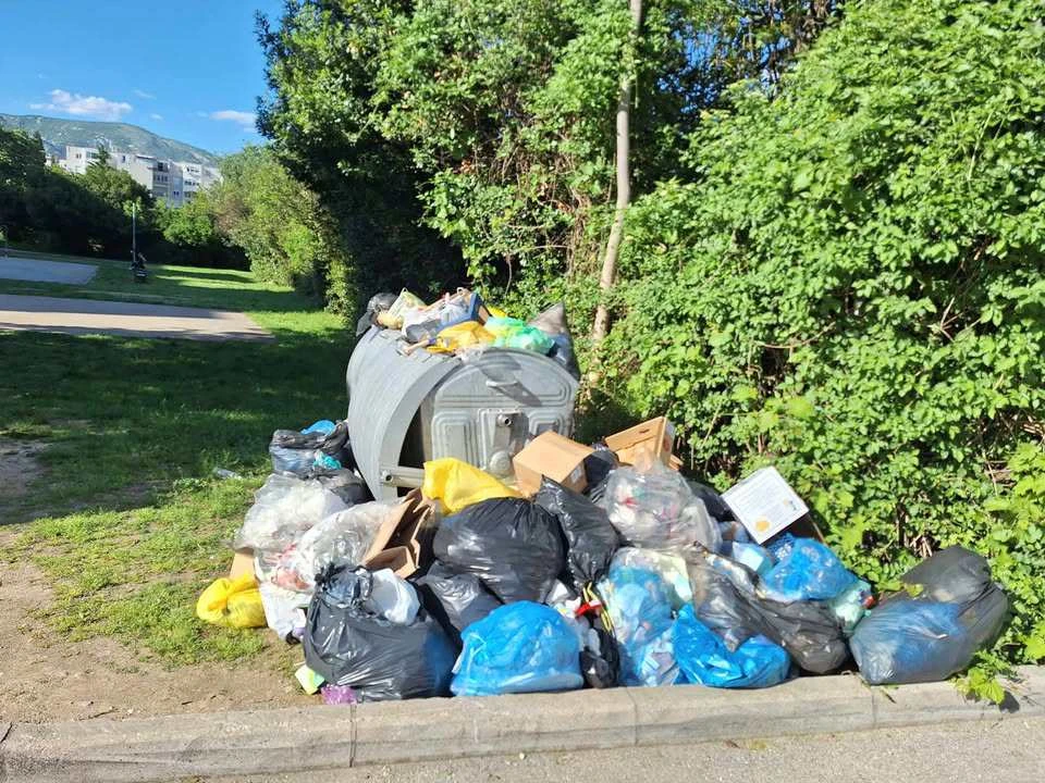 Kontejner u parku