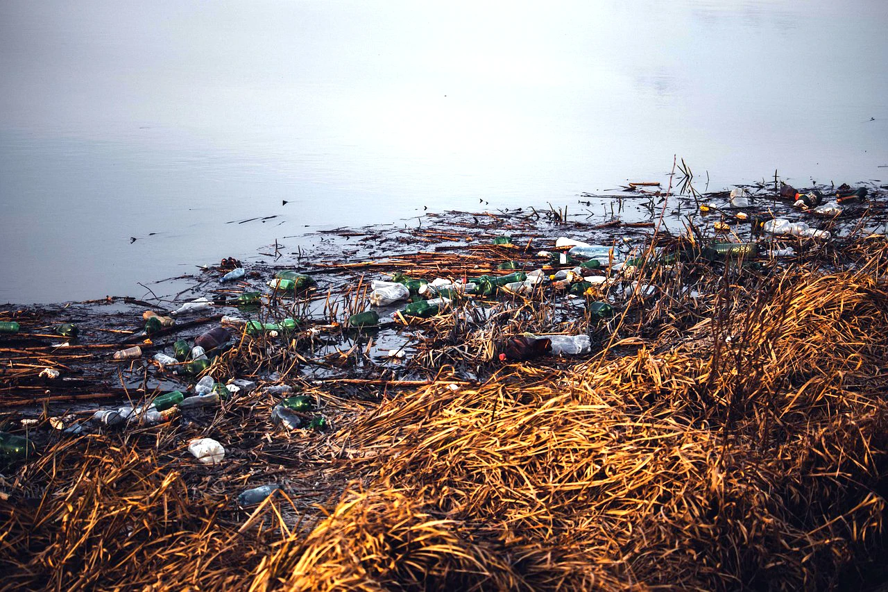Otkrivena veza između onečišćenja plastikom i srčanih bolesti