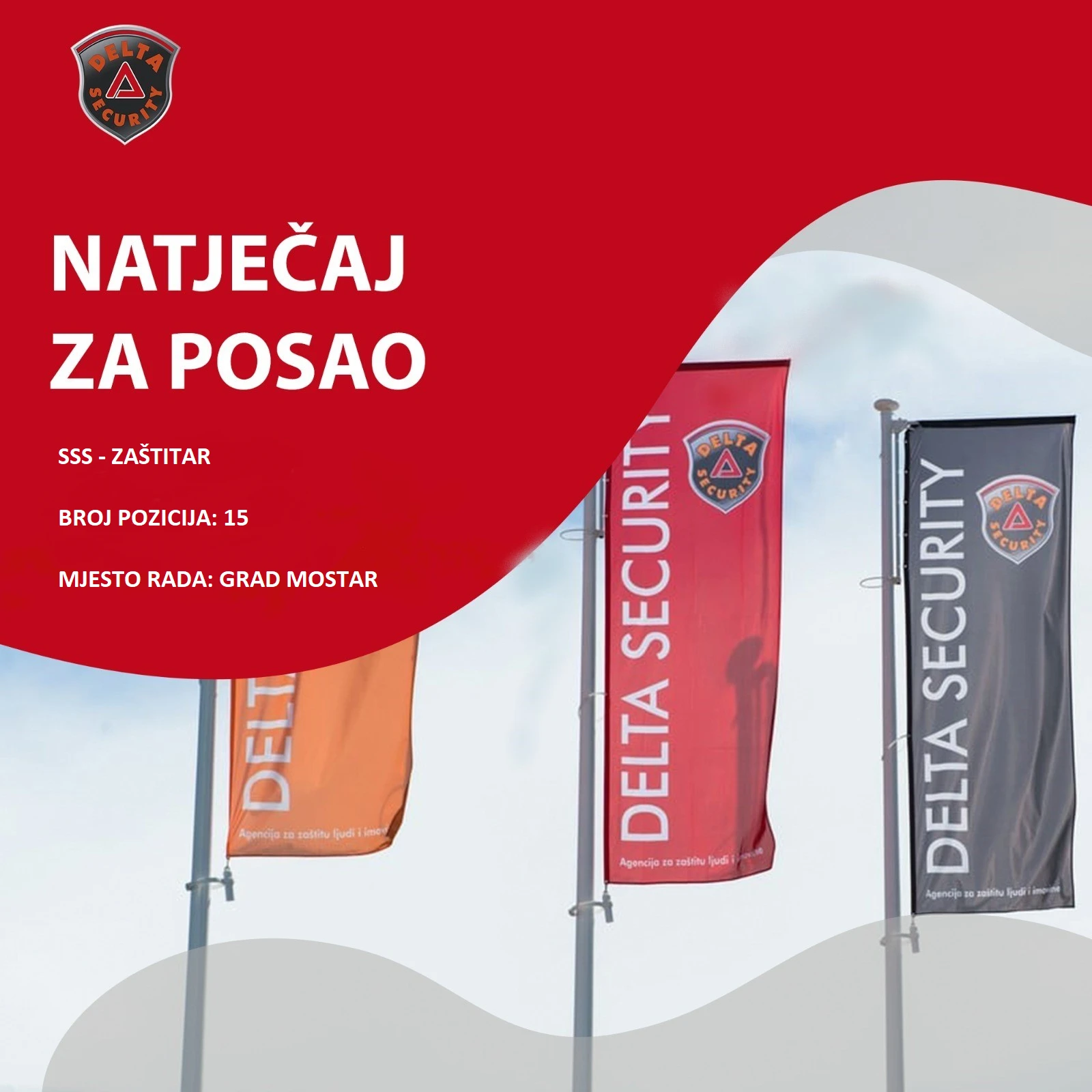 Delta Security raspisuje natječaj za posao