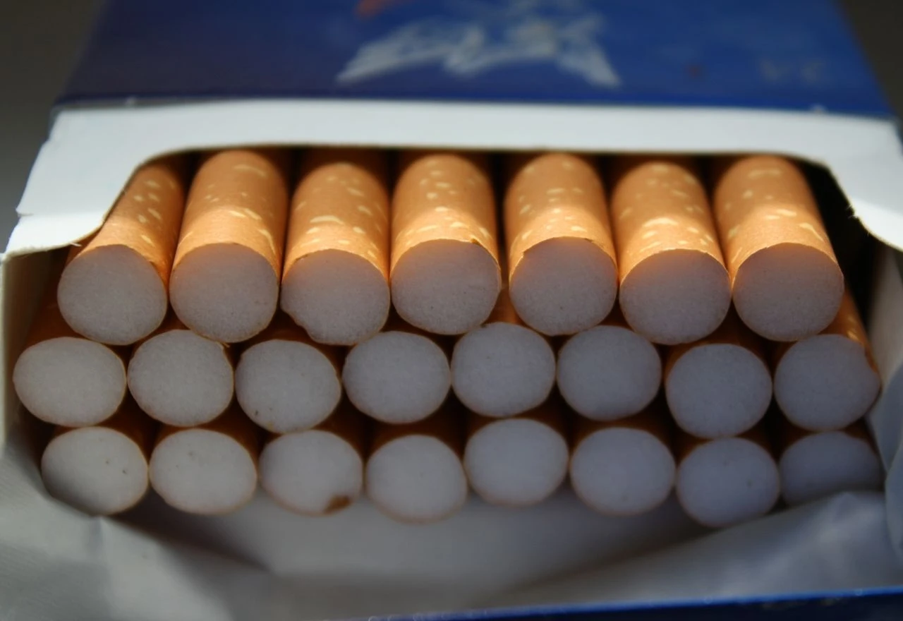 Pokušao prokrijumčariti cigarete vrijedne više od 2,5 milijuna eura preko granice