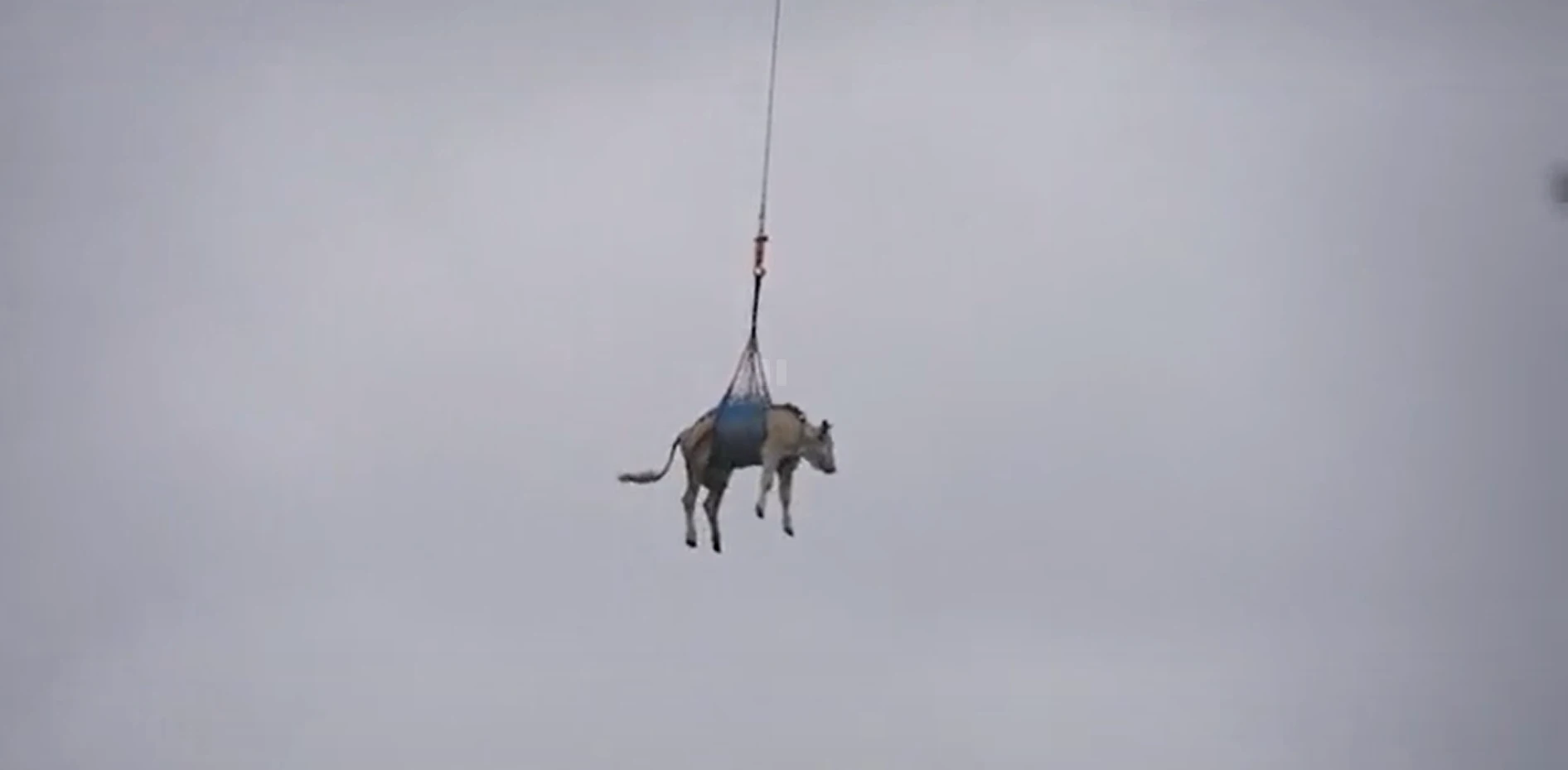 Zastrašujući odron prijeti selu: Pogledajte kako helikopter spašava krave