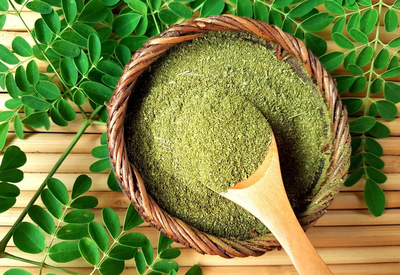 Moringa - biljka koja usporava starenje i obnavlja crijeva