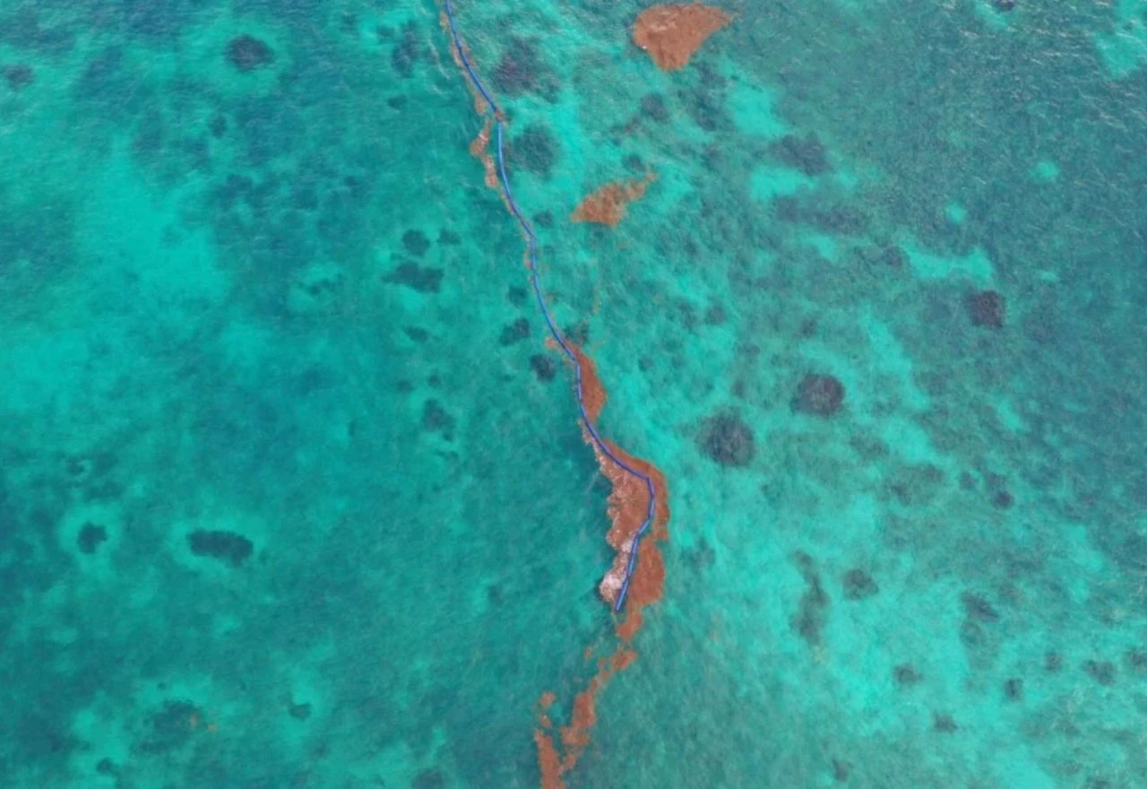 Sargaško more - jedino na svijetu bez obale i plaža, nazivaju ga plutajućom prašumom