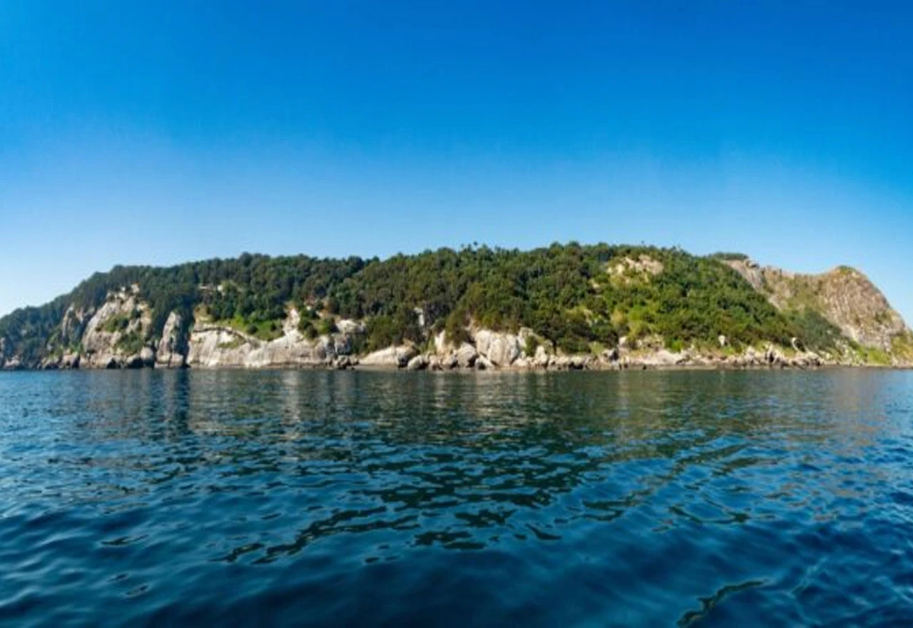 Otok zmija: Na ovom mjestu živi najopasnije stvorenje na svijetu