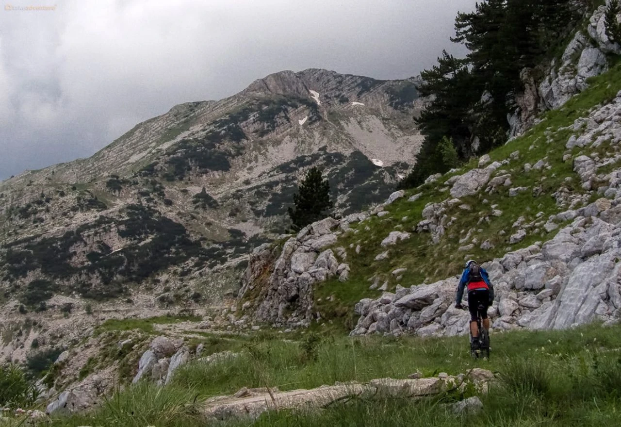 Izlet na Borašnicu povodom Dana grada Konjica