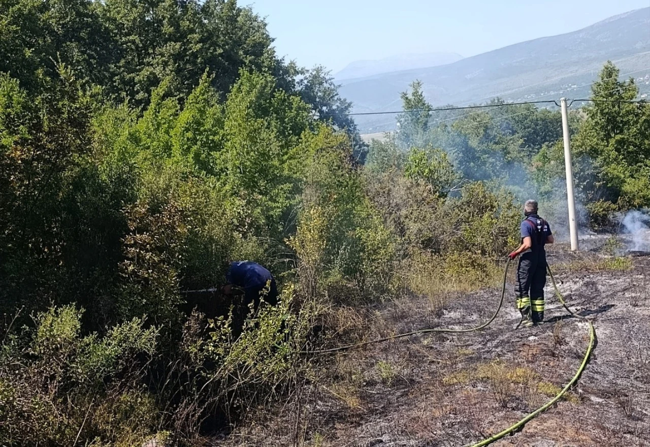 Vatra prijetila šumi i vinogradima kod Širokog Brijega