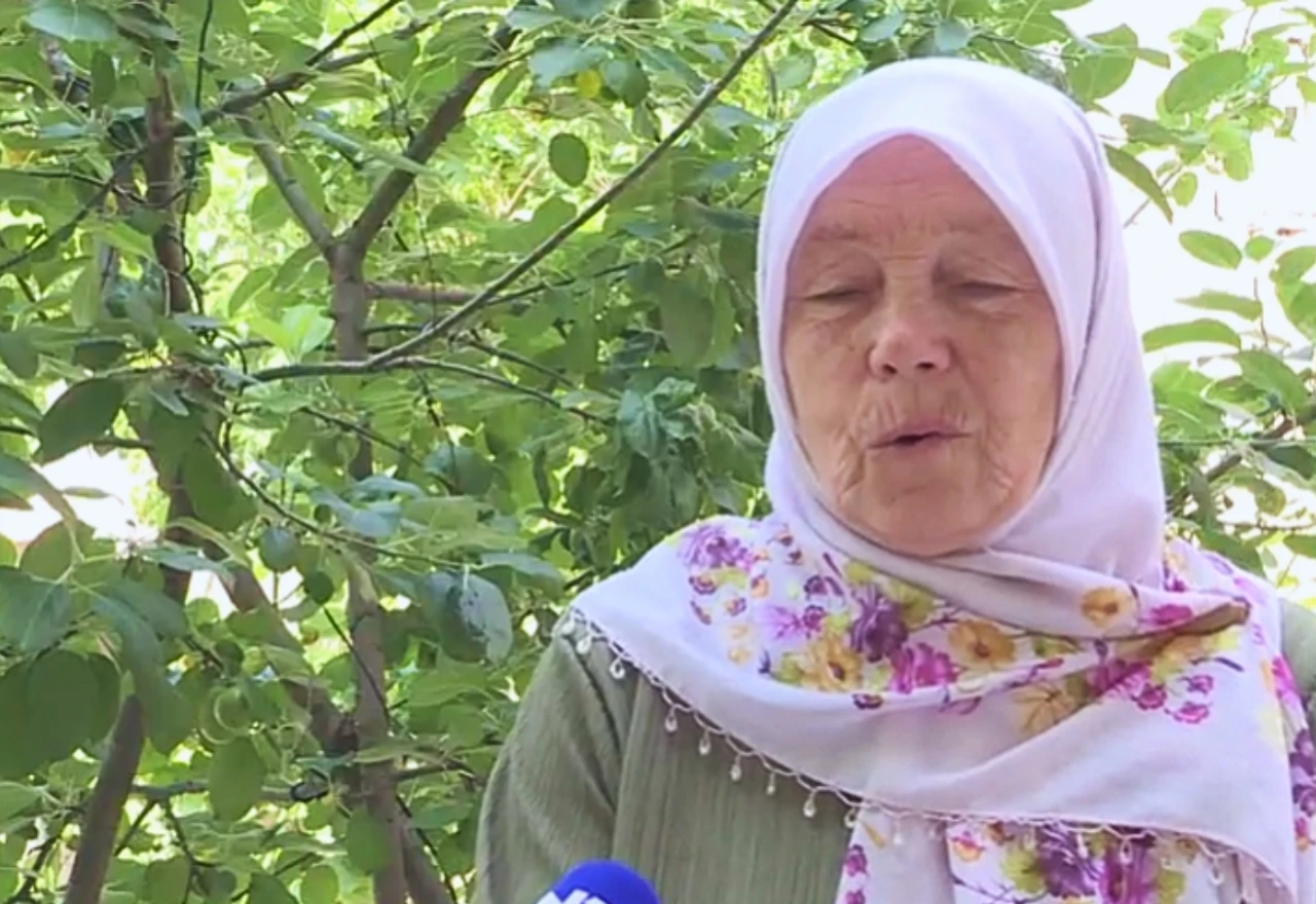 Medvjedi sve bliže Mostaru: Mostarka podijelila svoj susret s njim
