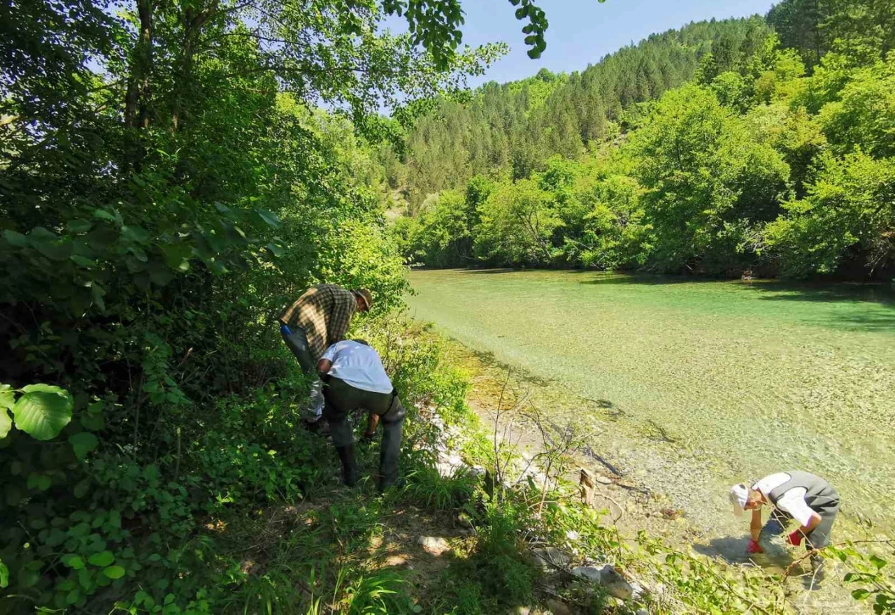 Građani i ribolovci zajedno očistili Neretvu: Uspješna akcija u Glavatičevu