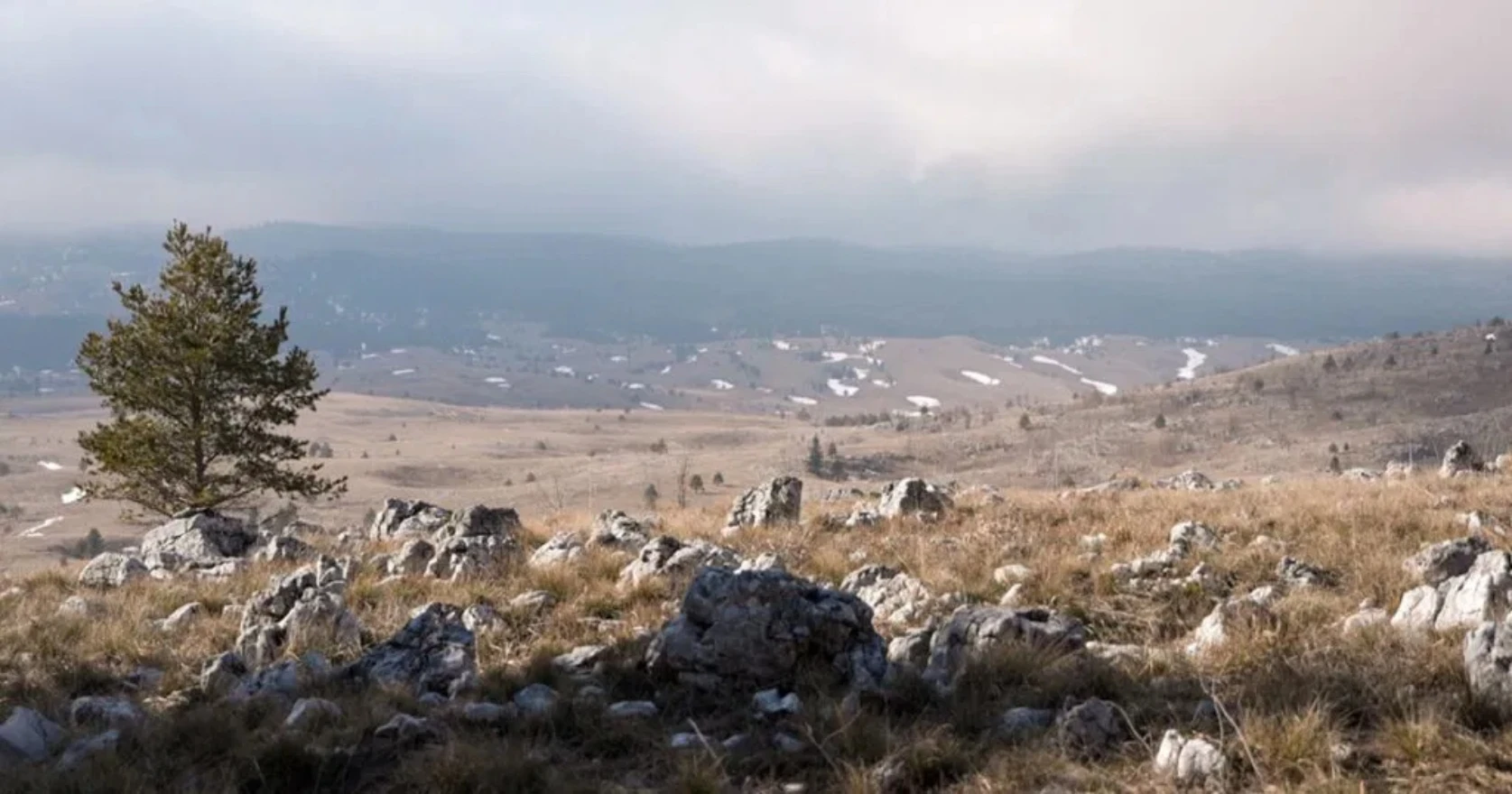 Prodaja zemljišta za vjetropark u Glamoču: Investitori nude tek 30 feninga po kvadratu
