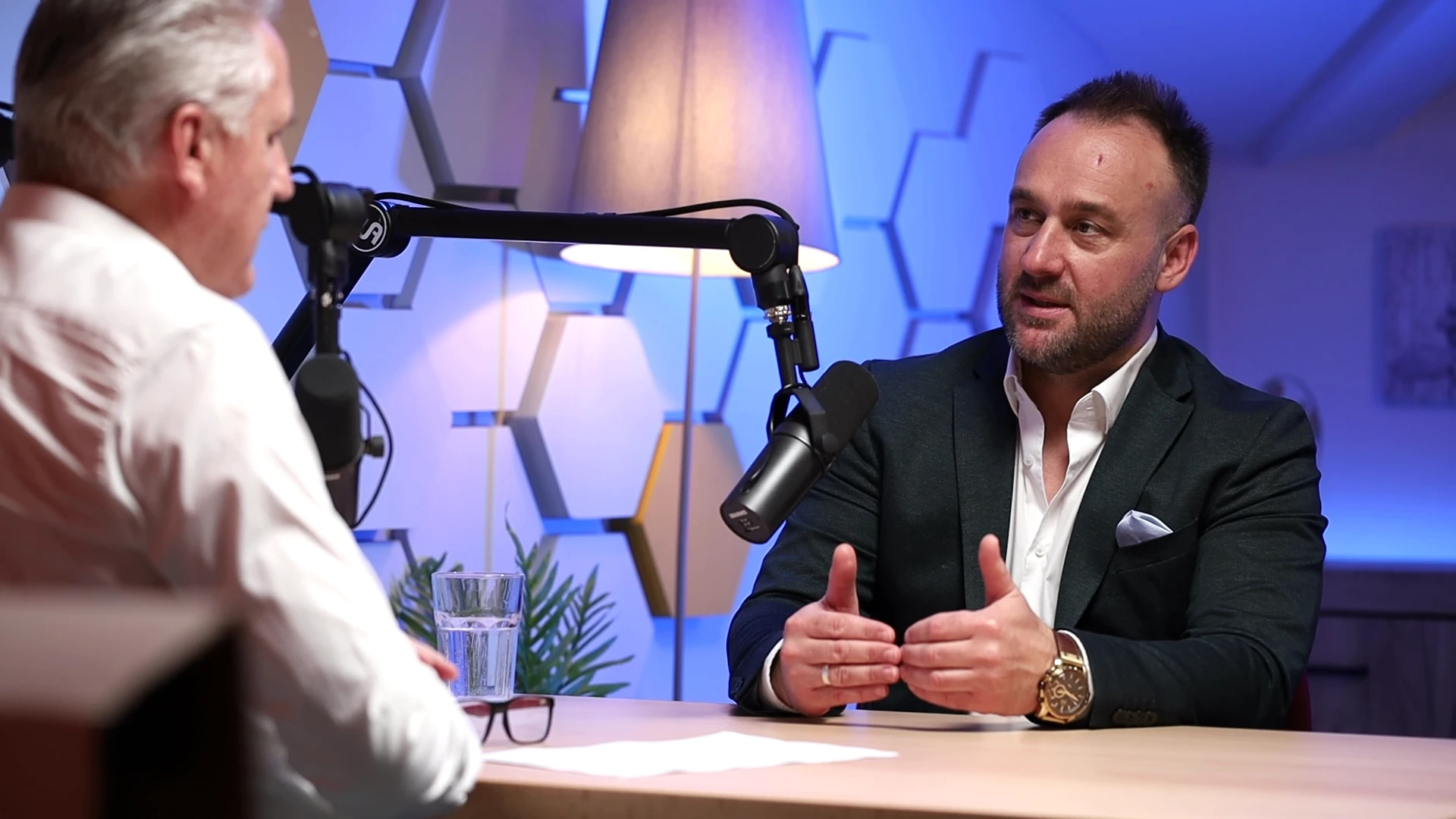 Harbaš: BiH se ne smije u energetici ponašati kao vozač 'Fiće' starog 50 godina kojeg ne održava
