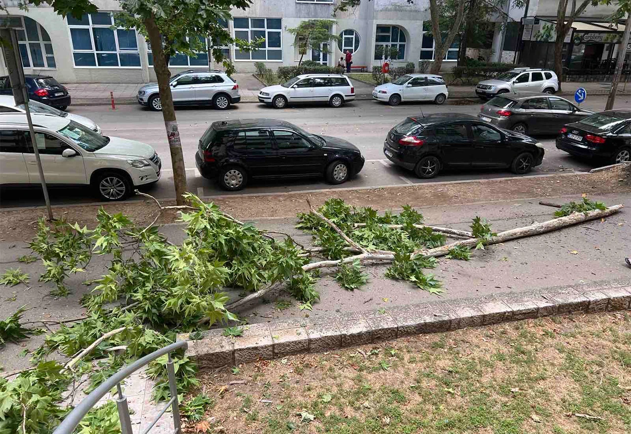 Palo stablo u Splitskoj ulici: Najavljeni udari vjetra