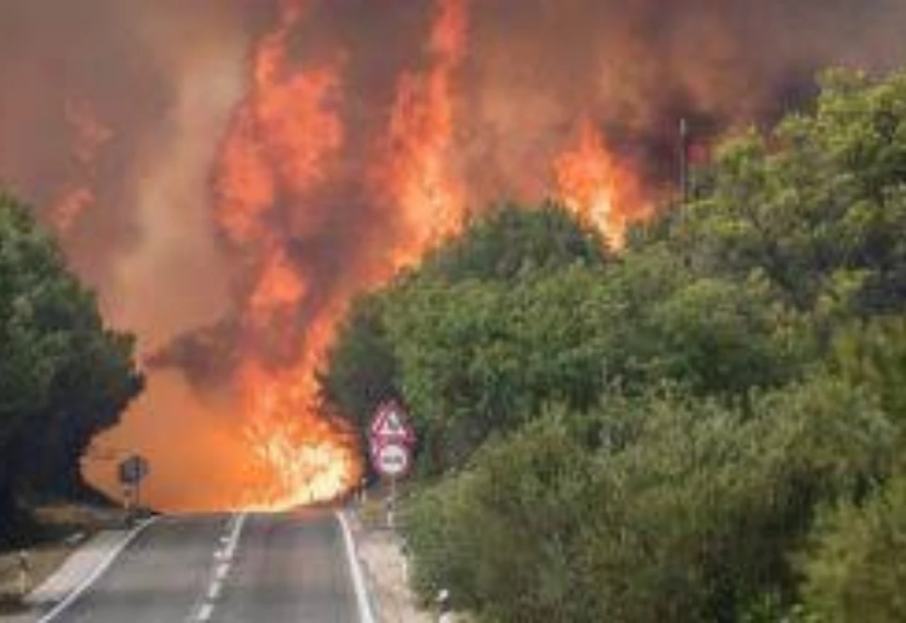 Hrvatska: Požari u Brelima, Pisku i Dupcima ugašeni