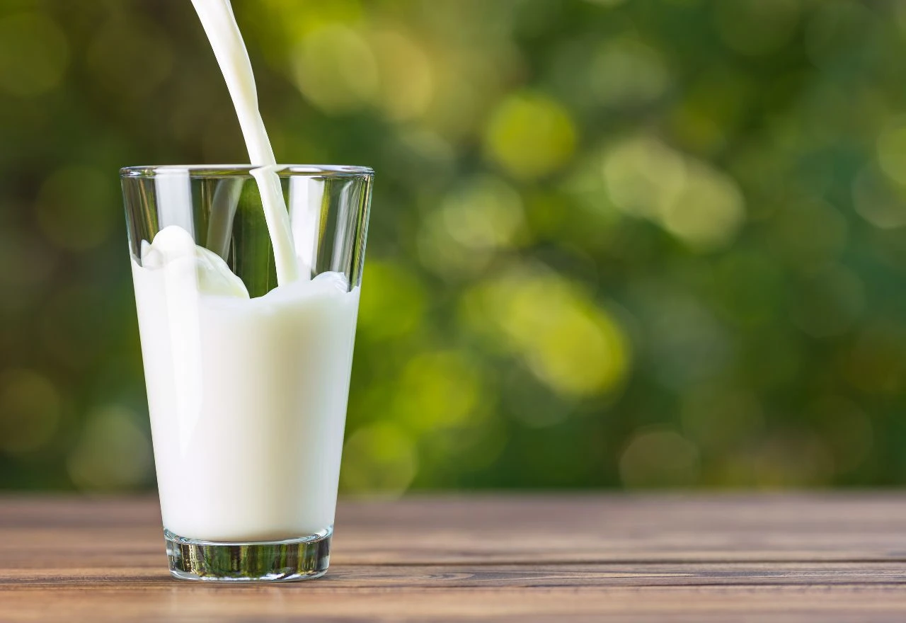 Ovih 5 napitaka imaju više proteina od jednog jajeta