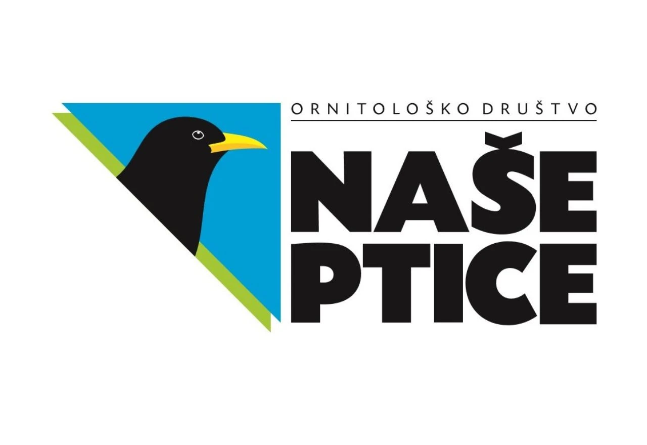 Ornitološko društvo ''Naše ptice'': Kako se zaštiti od napada vrana