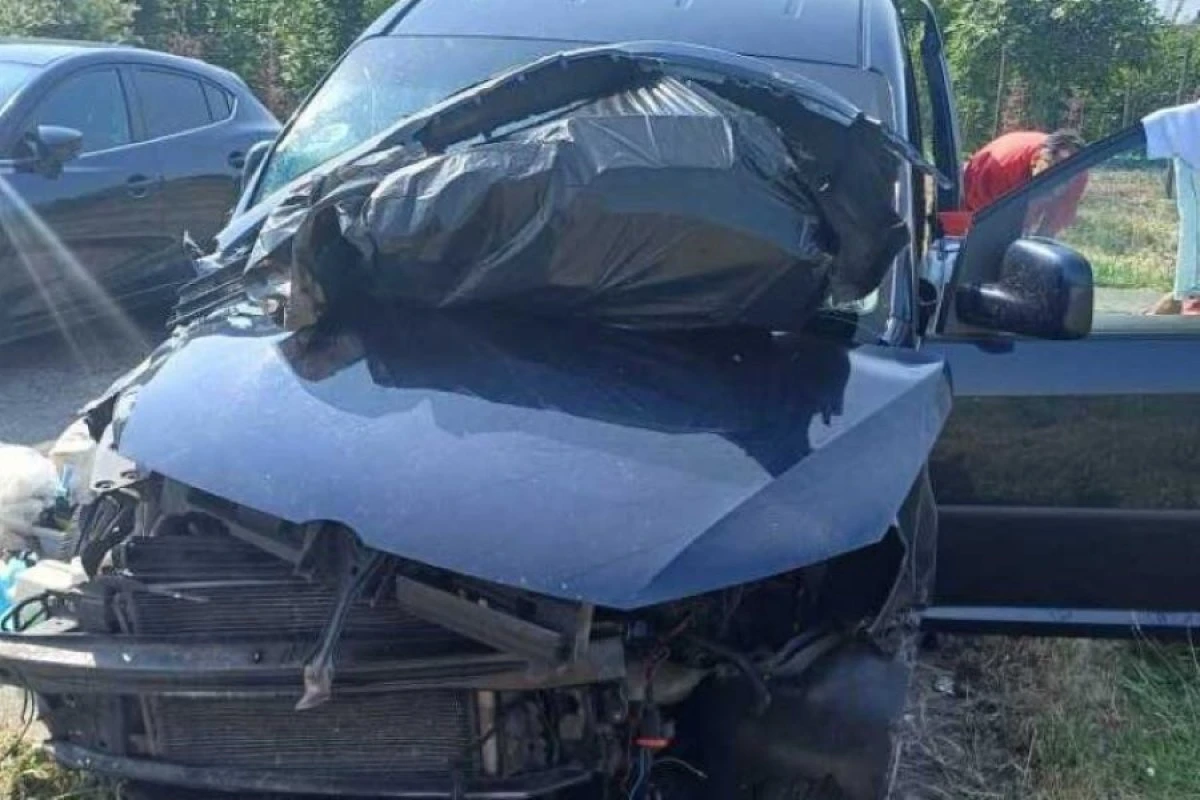 Kombi pun životinja iz BiH doživio nesreću u Italiji