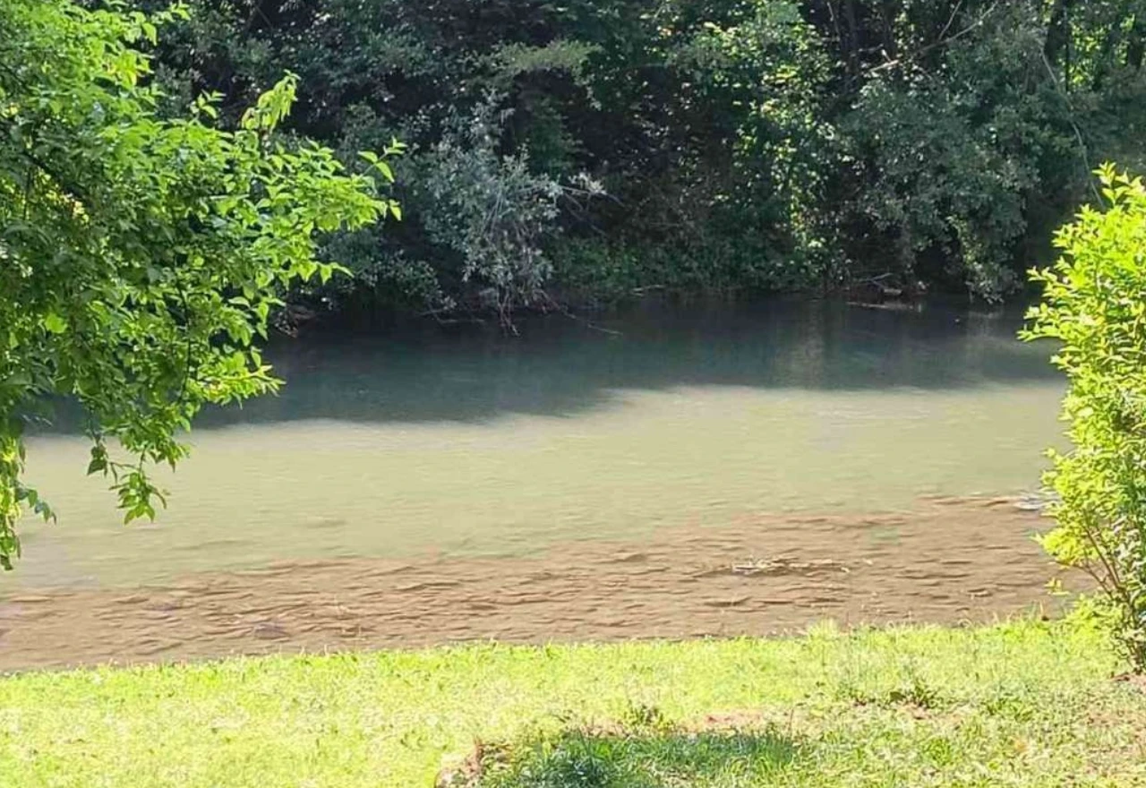 Otrov iz voda Crne Gore stigao do BiH: Ćehotina bijela kao mlijeko
