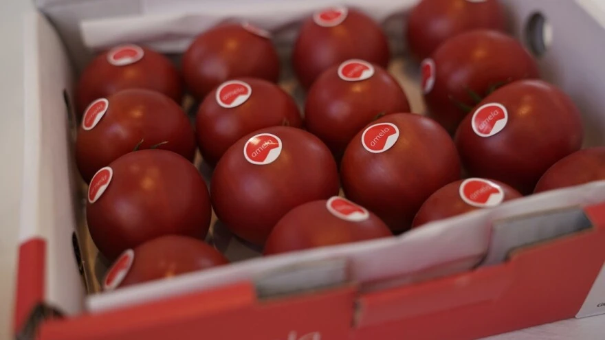 Amela, najskuplja rajčica na svijetu - Kilogram za 136 KM!