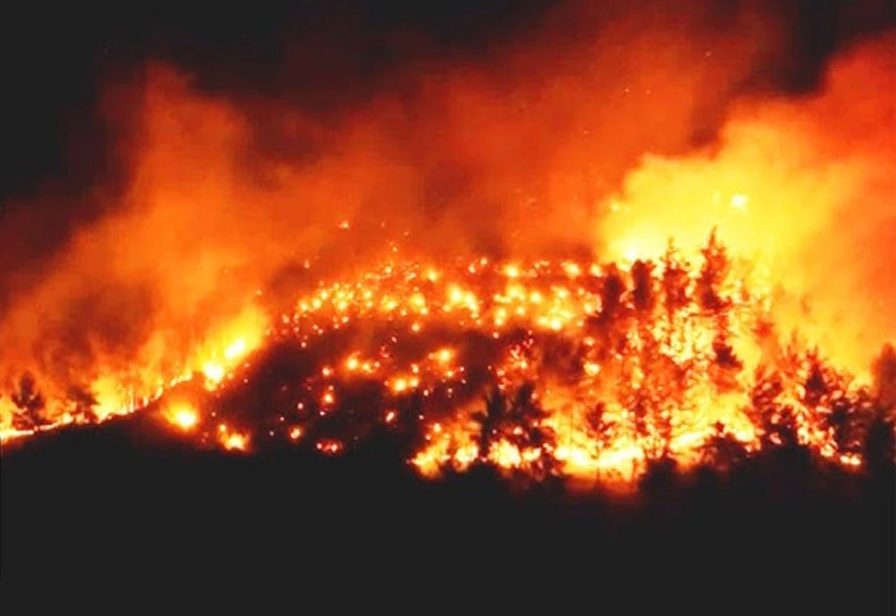 VIDEO | Šumski požari zahvatili zapadnu Tursku