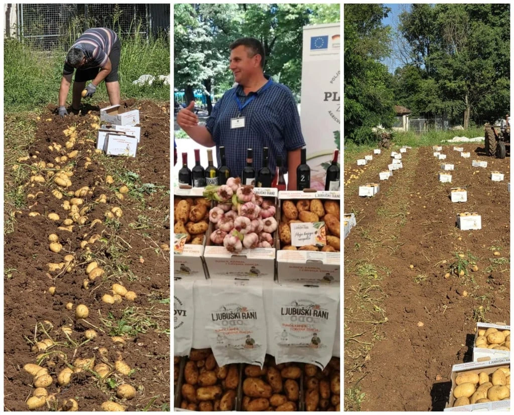 Nekada su se od ovog posla kupovali Mercedesi i pravile kuće, danas ni troškove ne pokrivaju