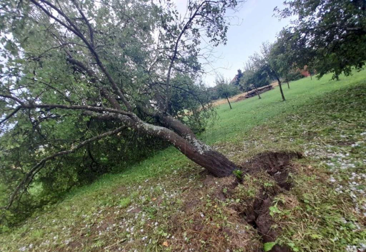 U Karlovcu nevrijeme rušilo stabla i telefonske stupove