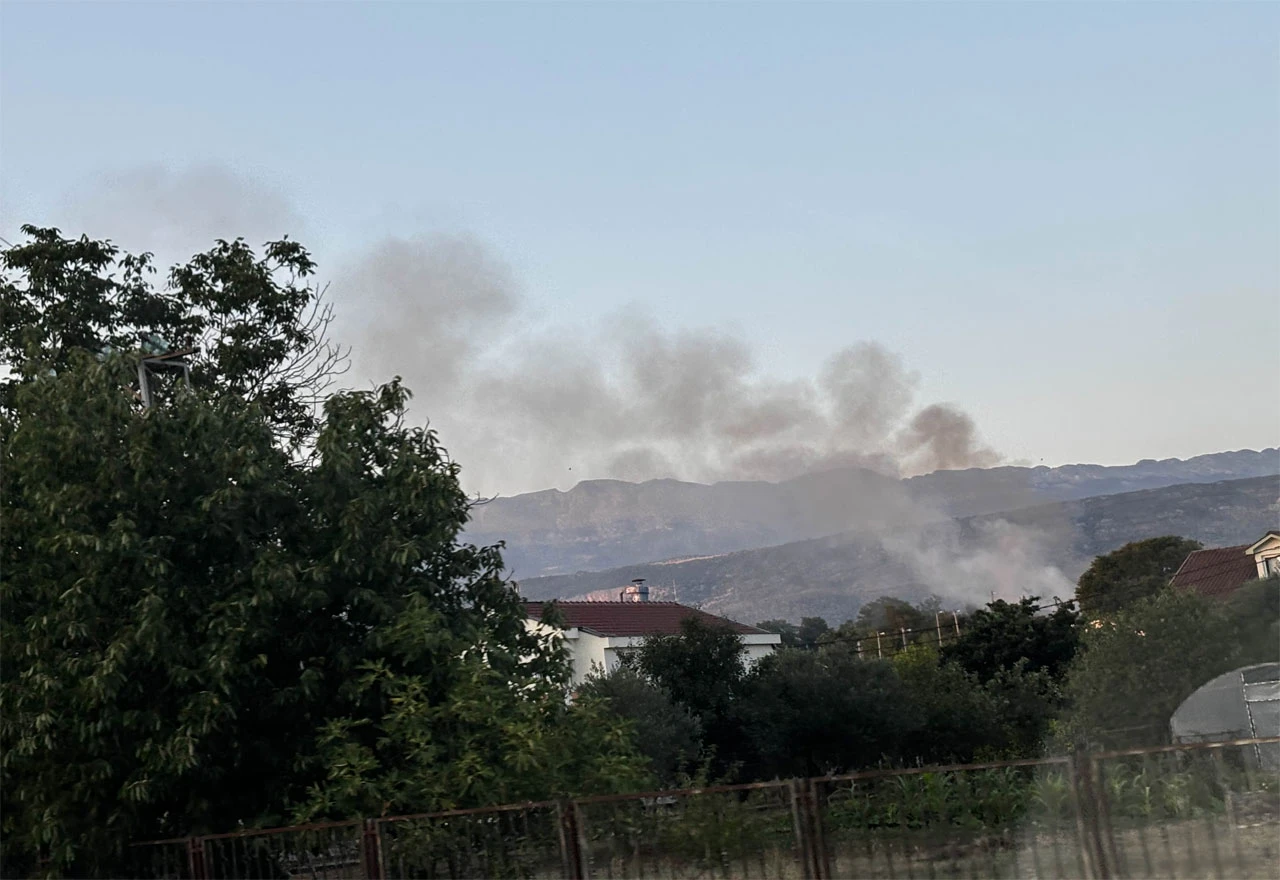 FOTO | Požar u Ortiješu, vatrogasci na terenu