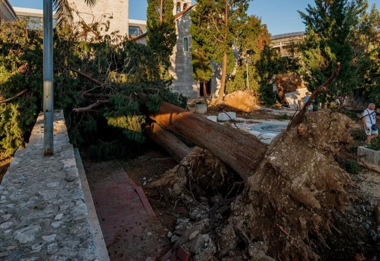 Split: U nevremenu stradalo tisuće stabala