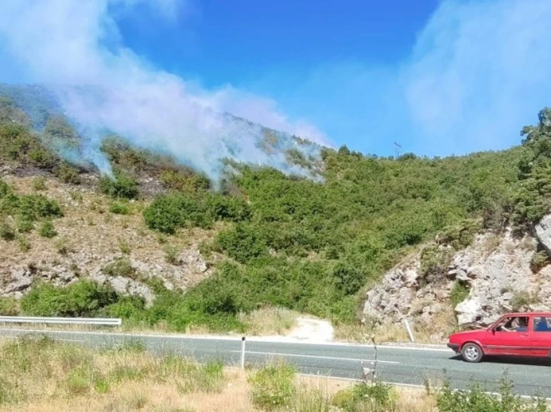 Stabilna situacija na požarištu oko Trebinja: Na padinama Leotara i dalje gori