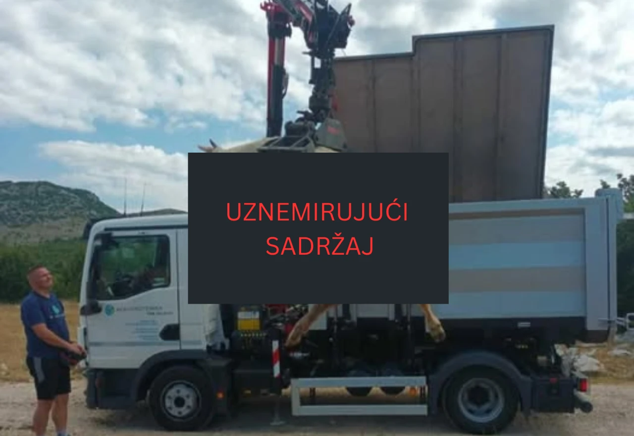 Misteriozna smrt krava kod Vrlike: "U zadnjih deset dana ostao sam bez jedanaest krava"