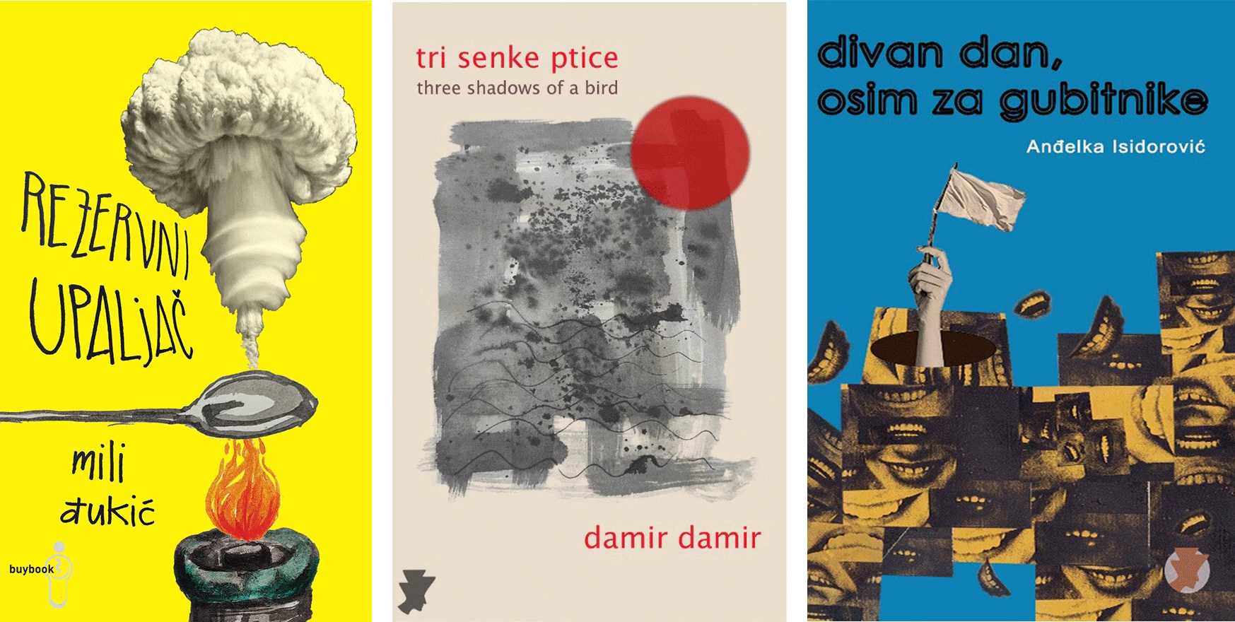 Neke od naslovnica knjiga koje je Đukić radila za izdavačke kuće Raštan iz Beograda i Buybook iz Sarajeva