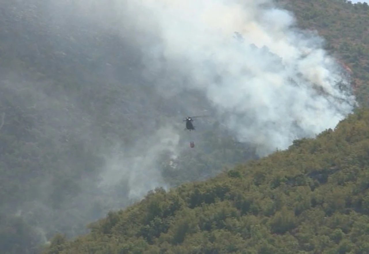 Ponovno gori i Trebinje: Vatra guta nepristupačne predjele