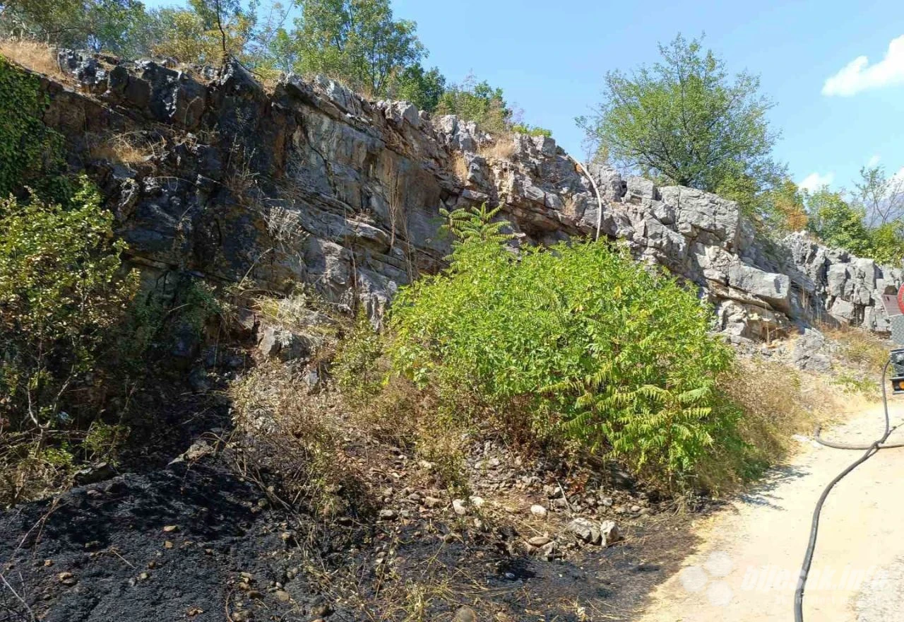 Izgorjela trava