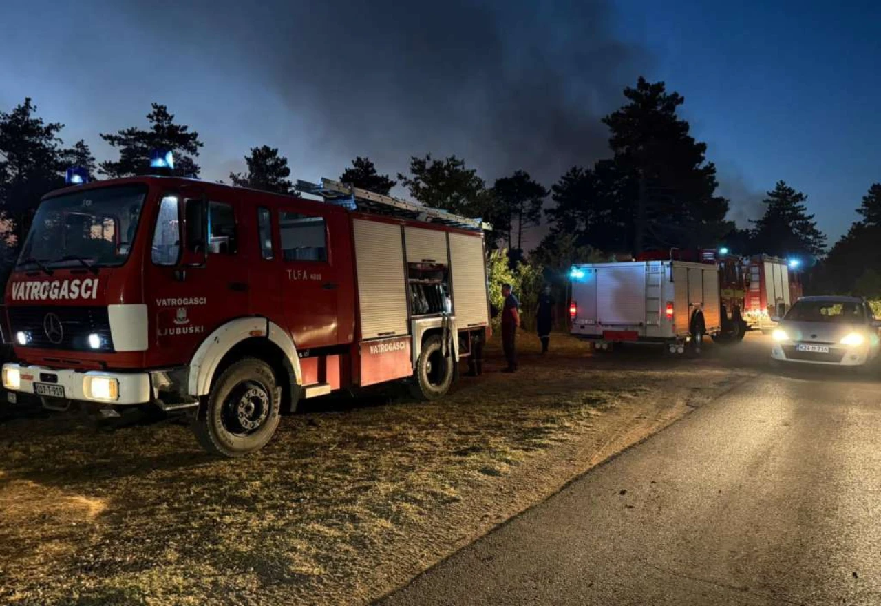 Vatrogasci i dalje na terenu: požar na Crvenom Grmu još nije ugašen