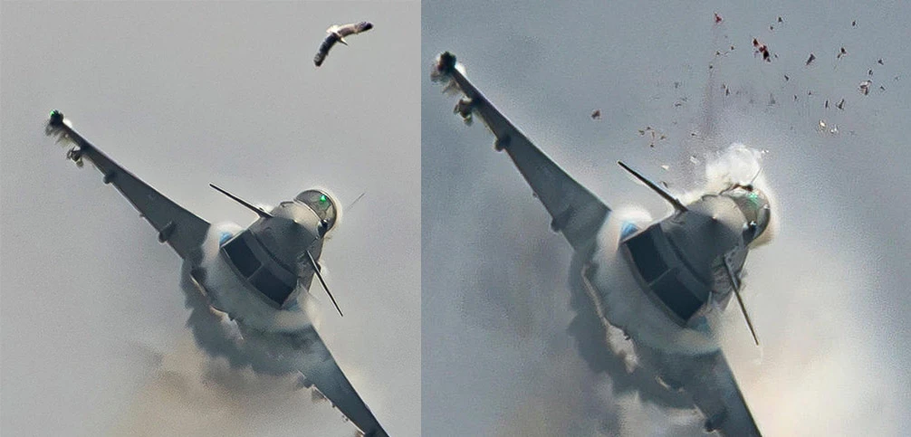 Nevjerojatna fotografija: Galeb probio staklo španjolskog borbenog aviona