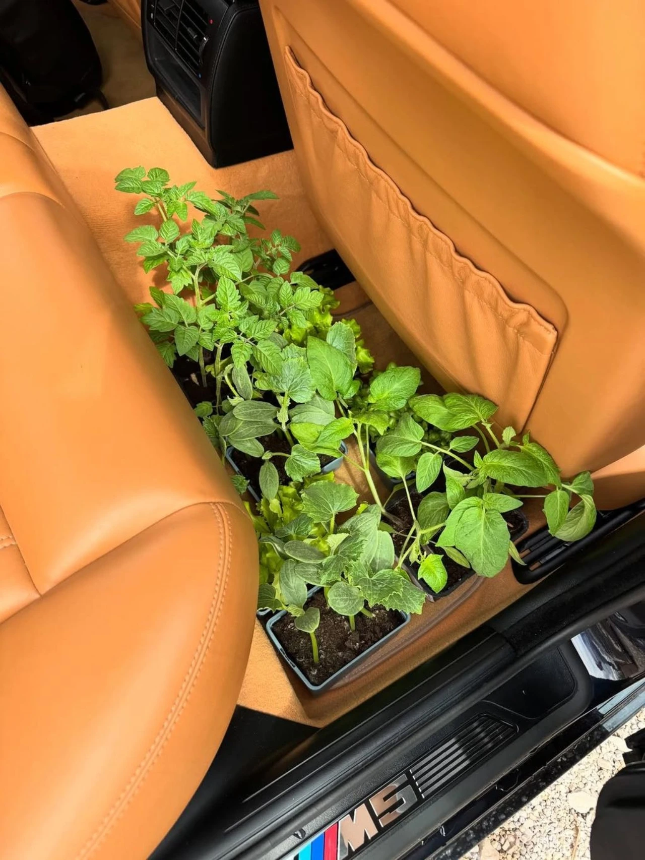 Mate Rimac ima novi hobi: Kriza srednjih godina jako udara