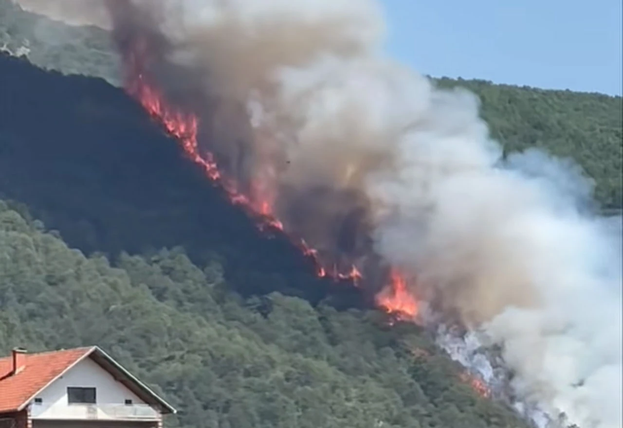 VIDEO | Veliko požarište kod Prozor-Rame