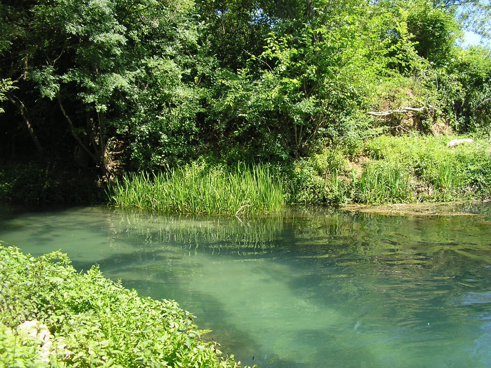 River Fest 2025: Tjedan prirode, glazbe i ekologije uz rijeku Studenčicu