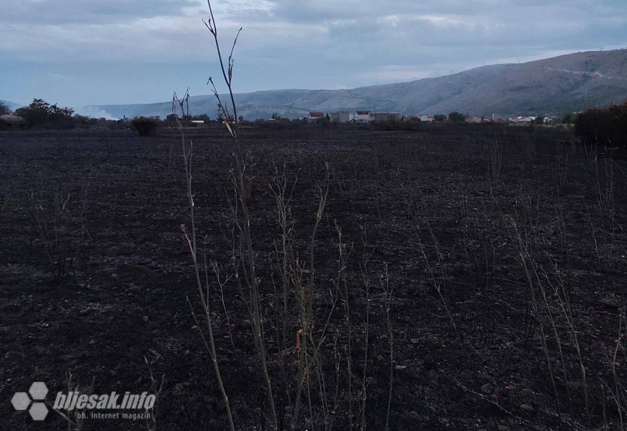 Izgorjelo 400 stabala trešnje i 100.000 sadnica smilja