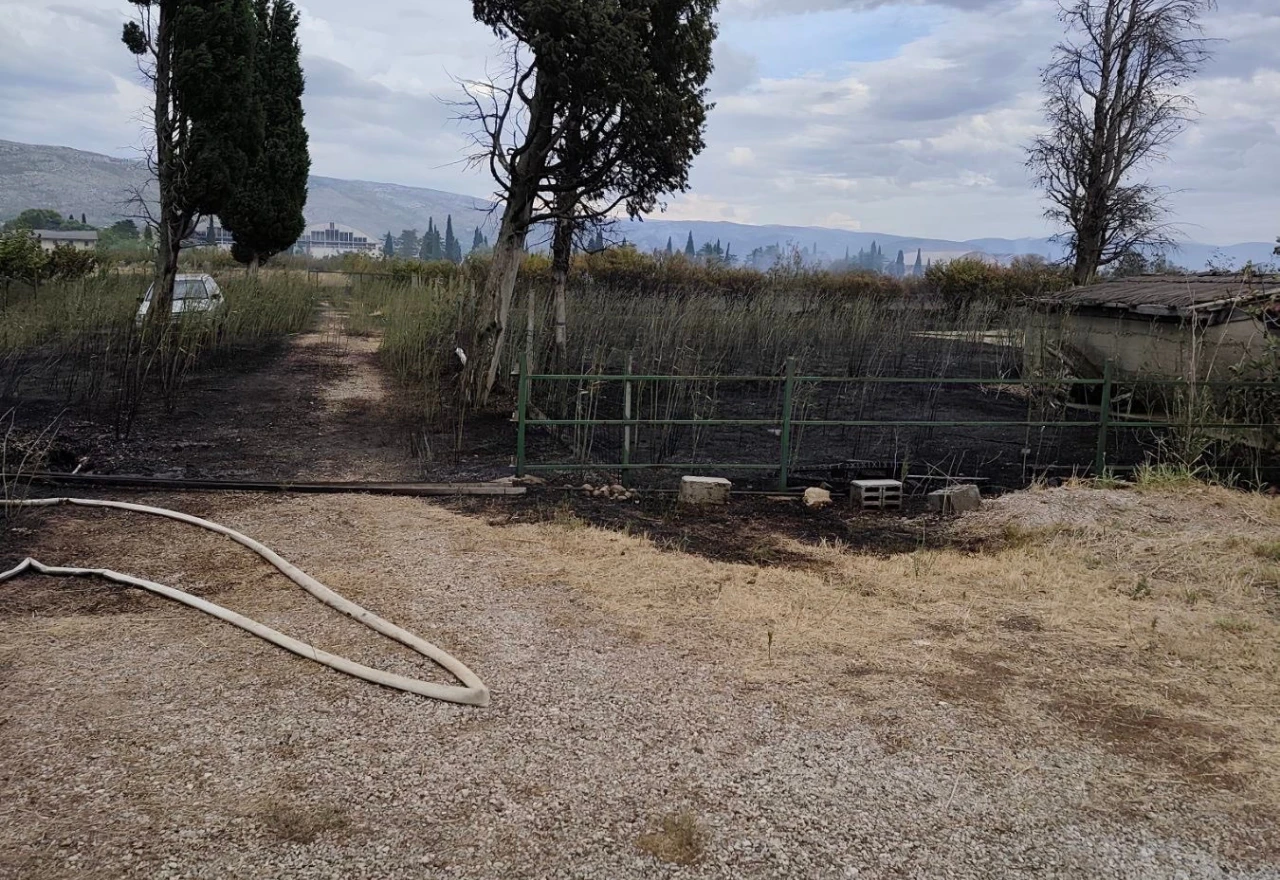 Izgorjelo 400 stabala trešnje i 100.000 sadnica smilja