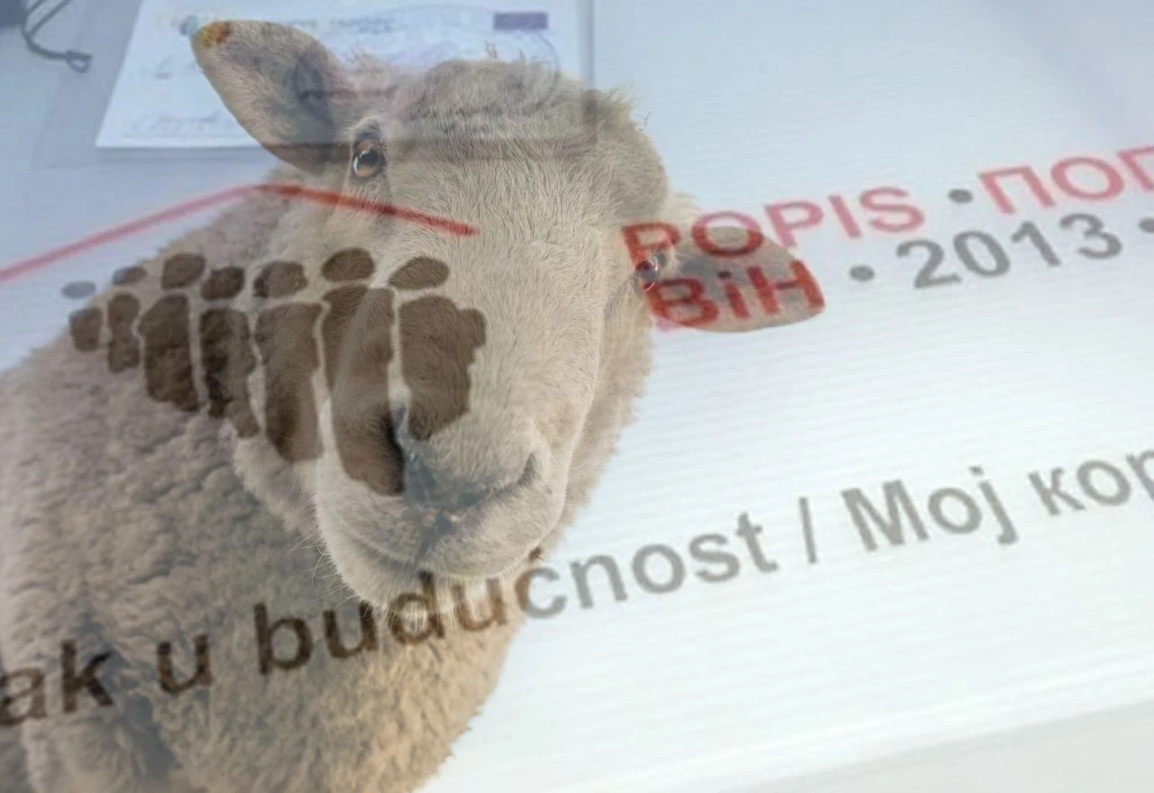 Popis stanovništva će pričekati: Prvo ovce, a tek onda ljudi