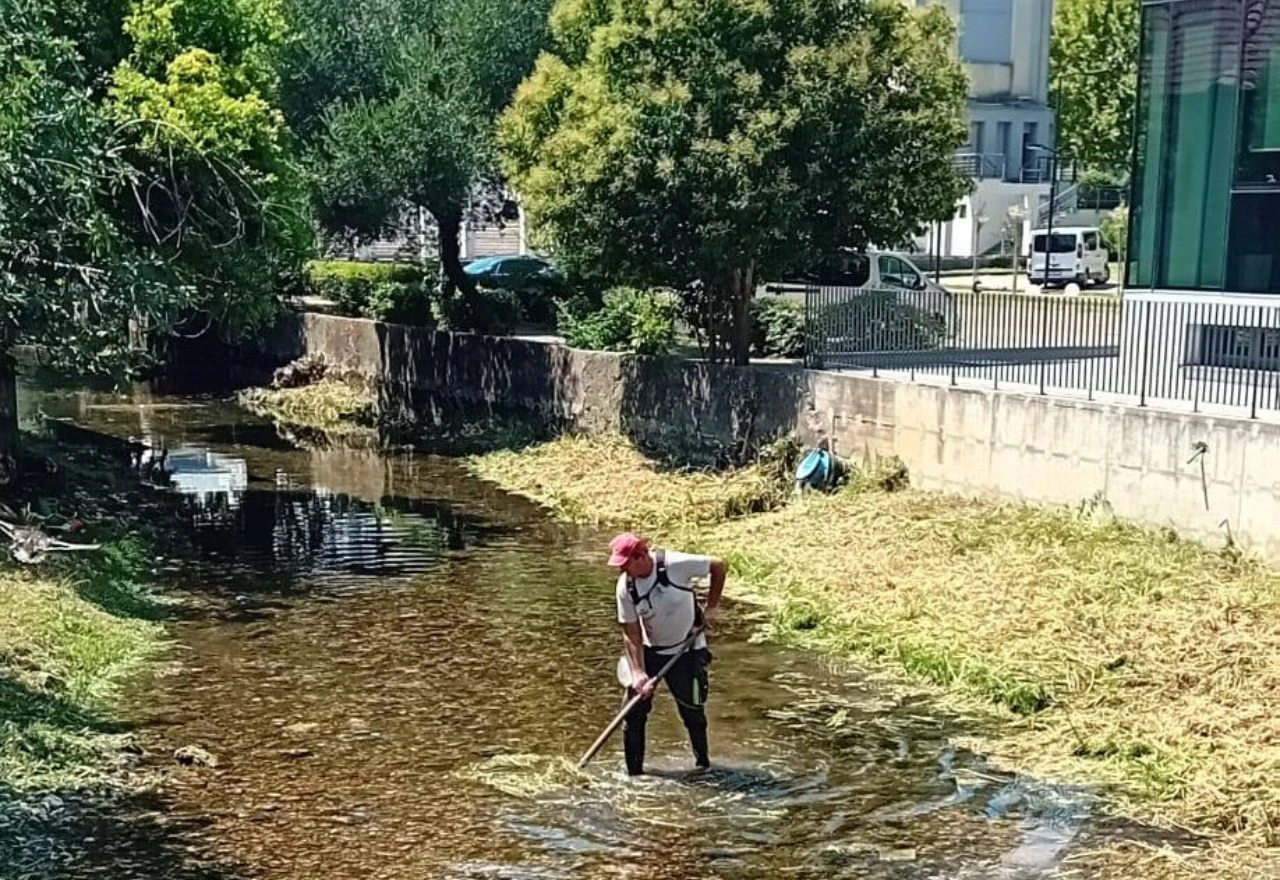 Očišćeno korito Radobolje, pripreme za košenje u parku Zrinjevac