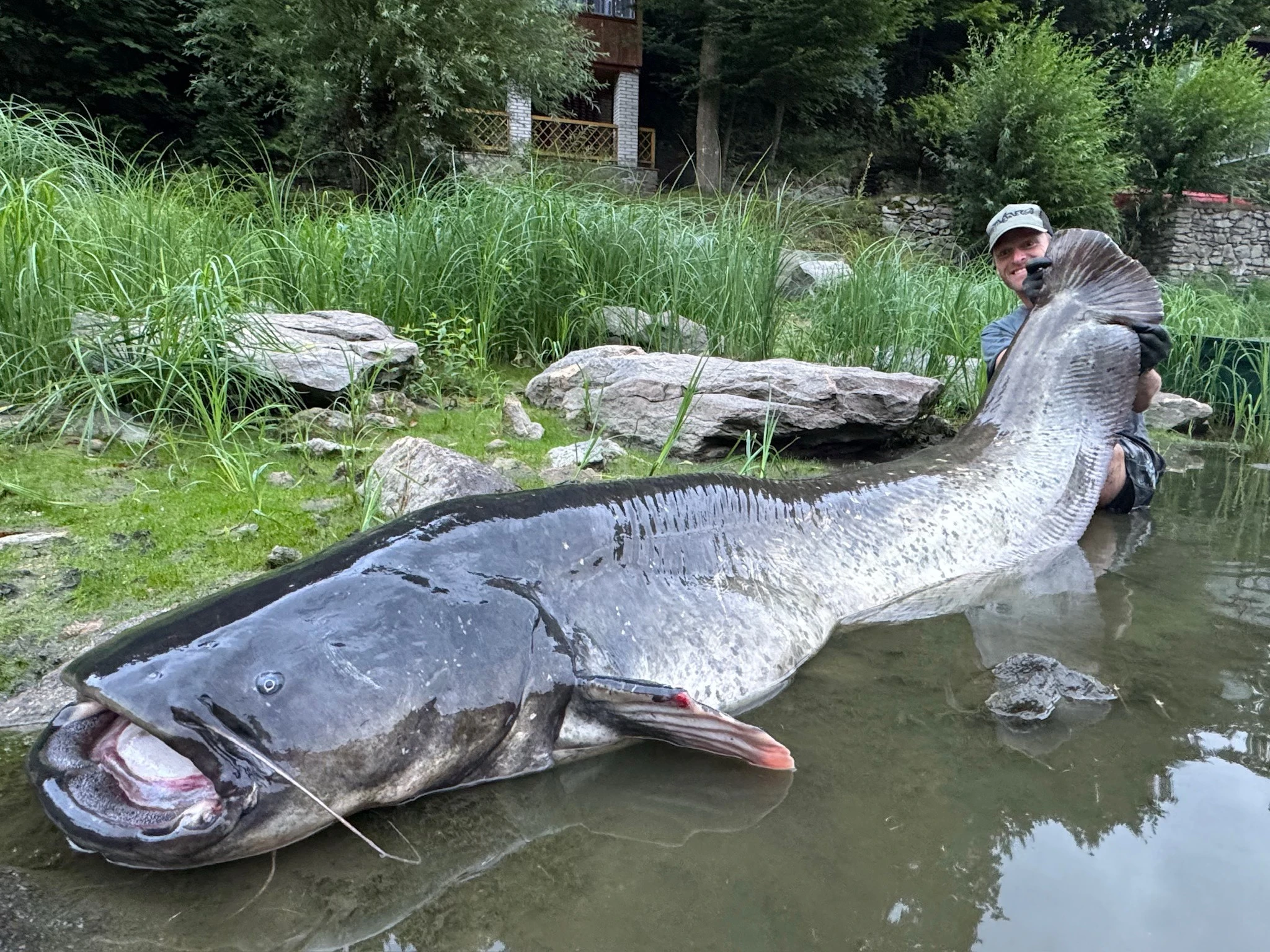 FOTO: Ribolovac ulovio soma od 268 cm