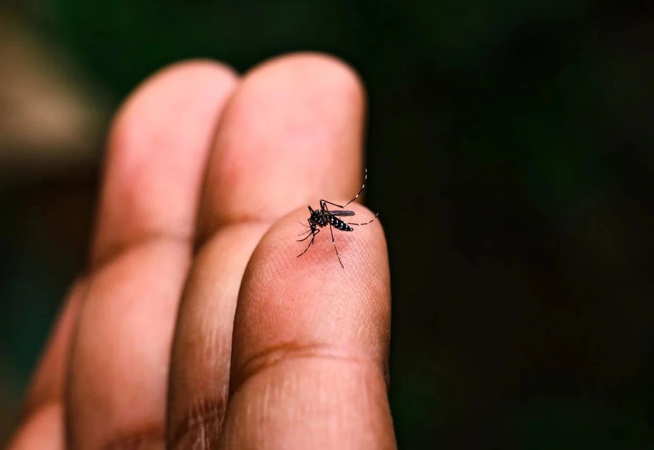 Kina: Vojnici s maskama tretiraju parkove i ulice insekticidima, tisuće zaraženih