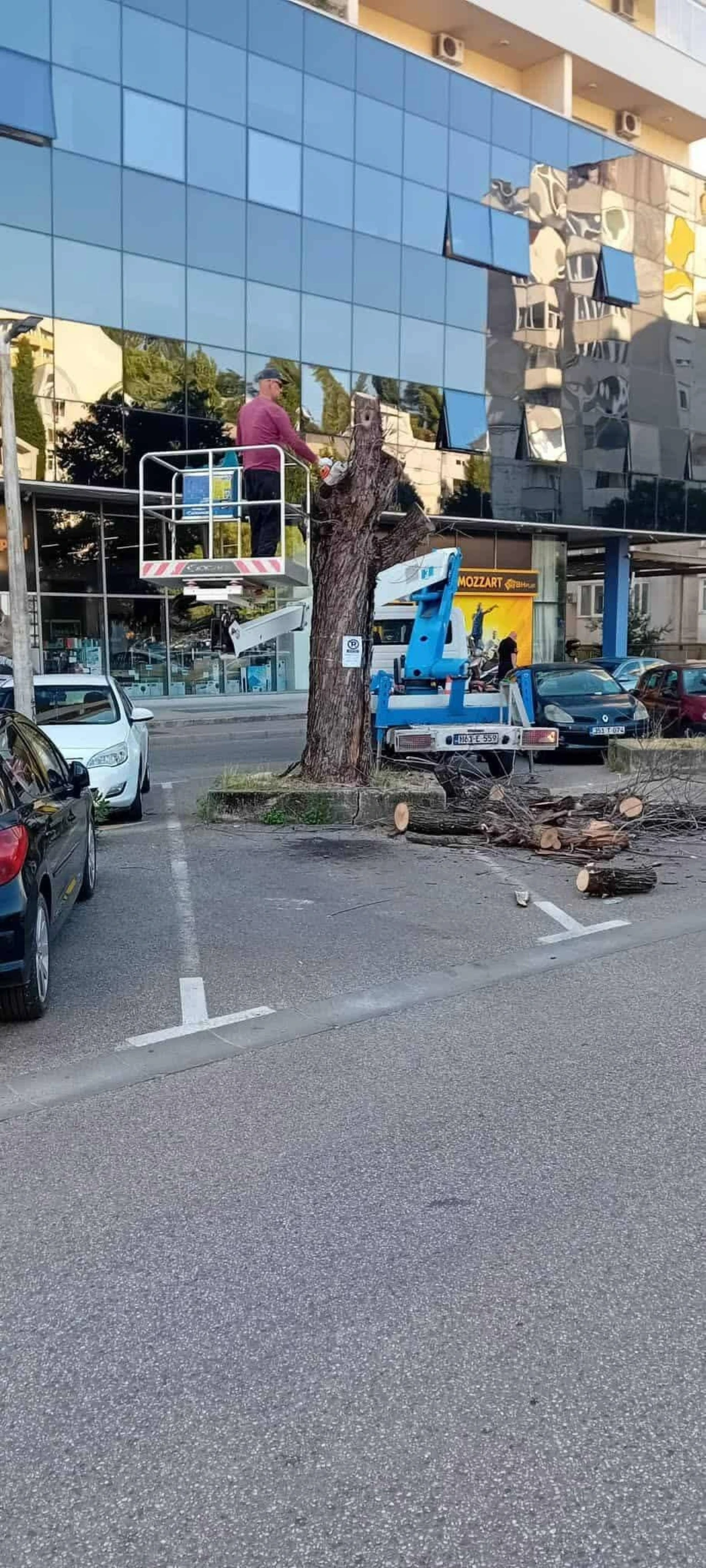 Mostar ostao bez još jednog drvoreda
