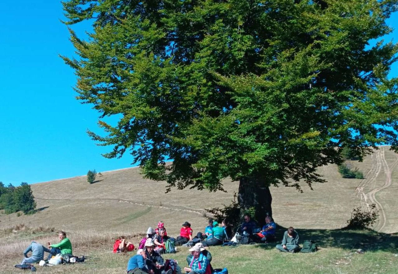Planina Lisac iznad Zenice ovog vikenda će biti domaćin Dana planinara FBiH