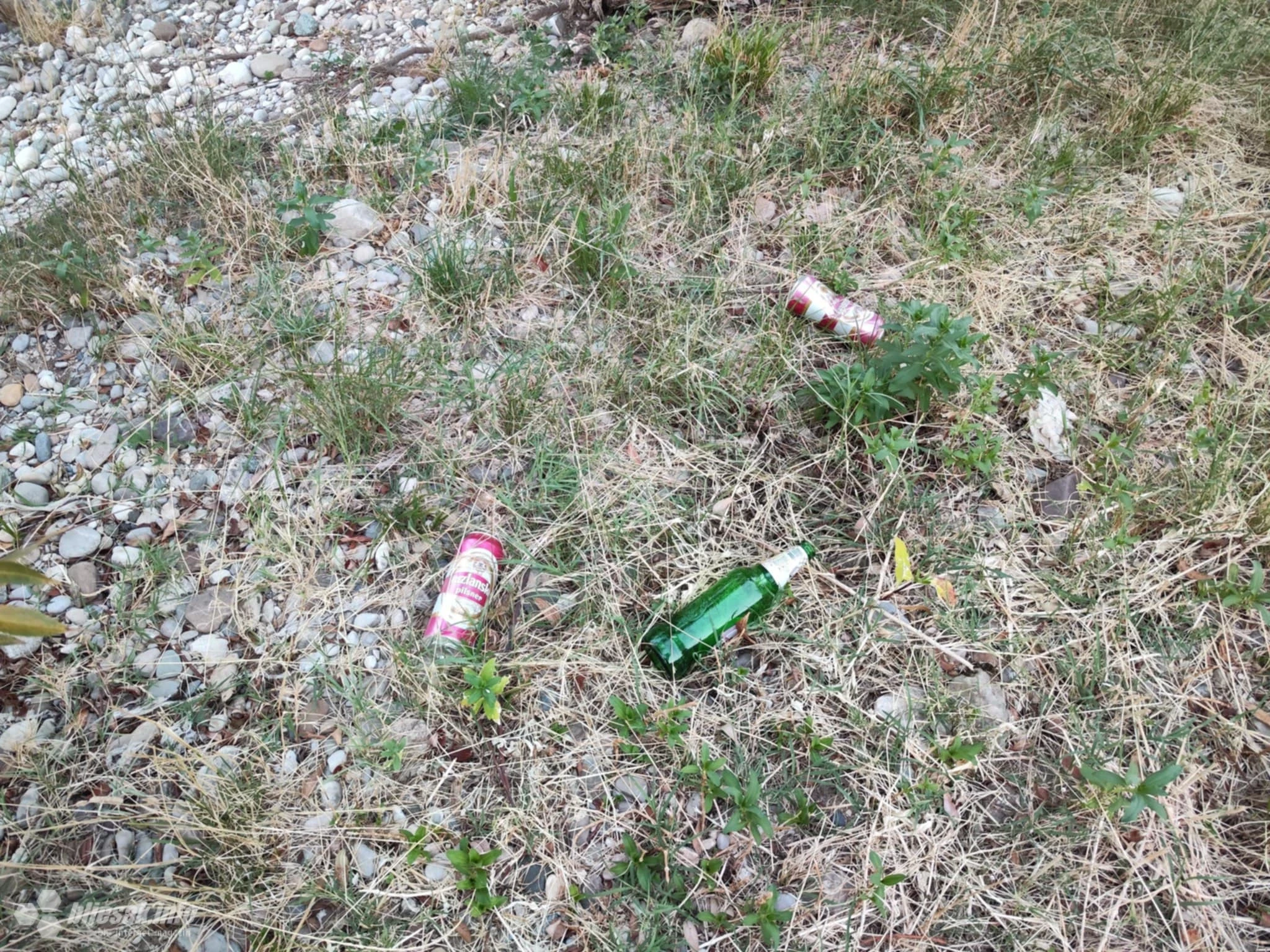 Od obiteljske oaze do neurednog kupališta