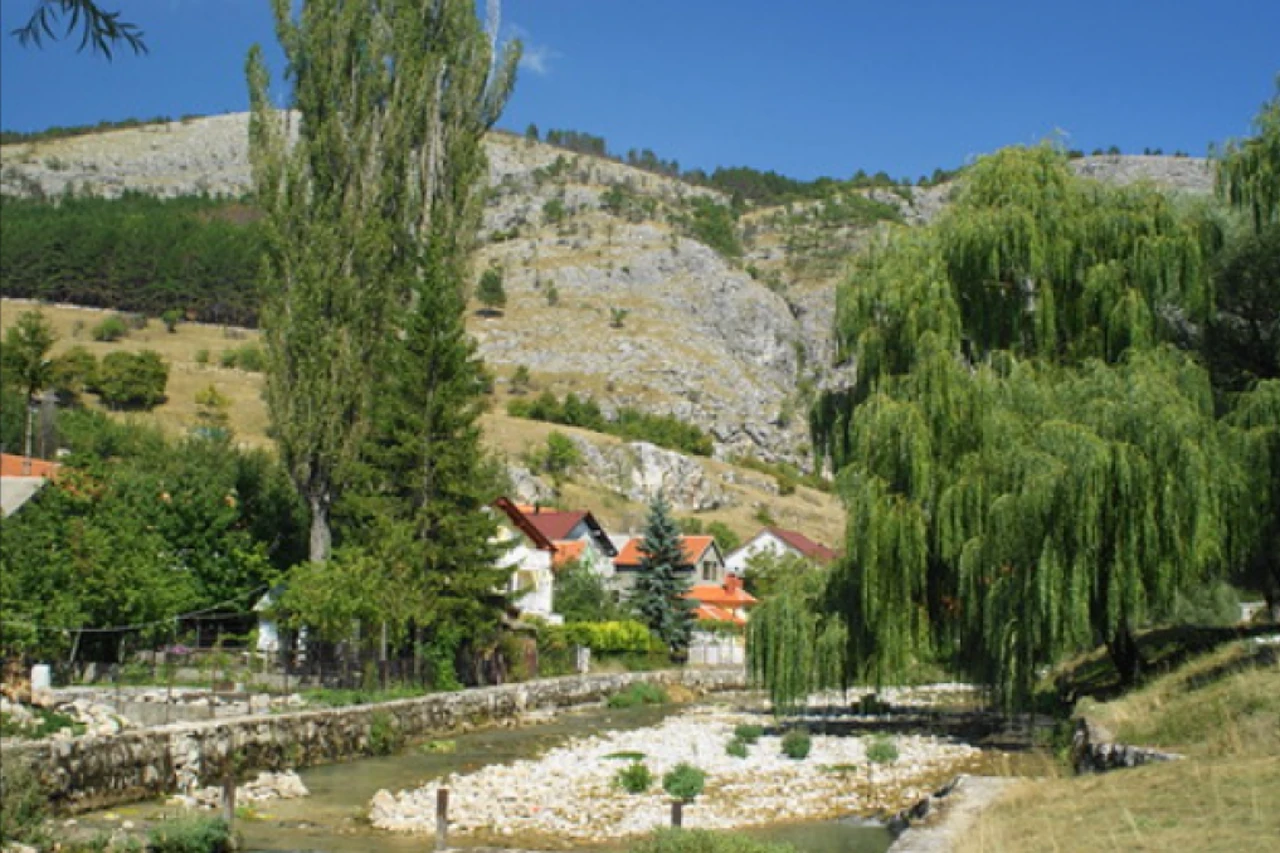 Kako sela Bosne i Hercegovine pretvoriti u žive ekonomije?
